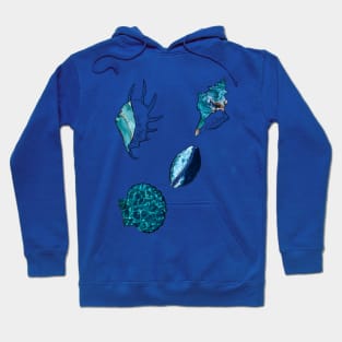 Sea shells Hoodie